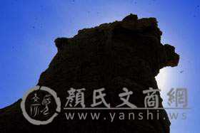 yanshi1659091859078.jpg