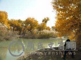 yanshi16630918590720.jpg