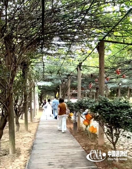 2025110812747265.jpg 1_副本.jpg