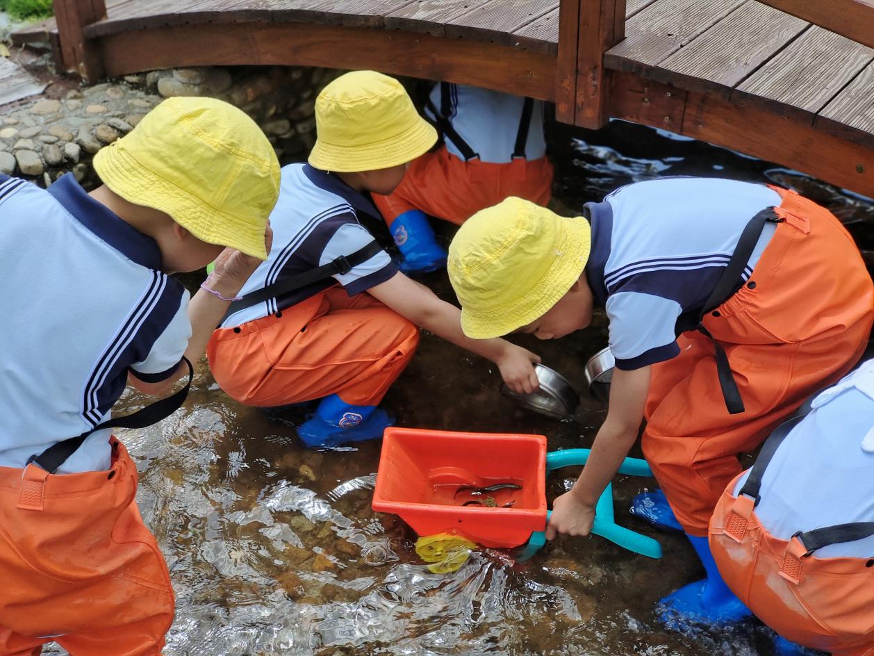 总园的孩子来到王桥分园体验抓泥鳅。明溪县实验幼儿园供图