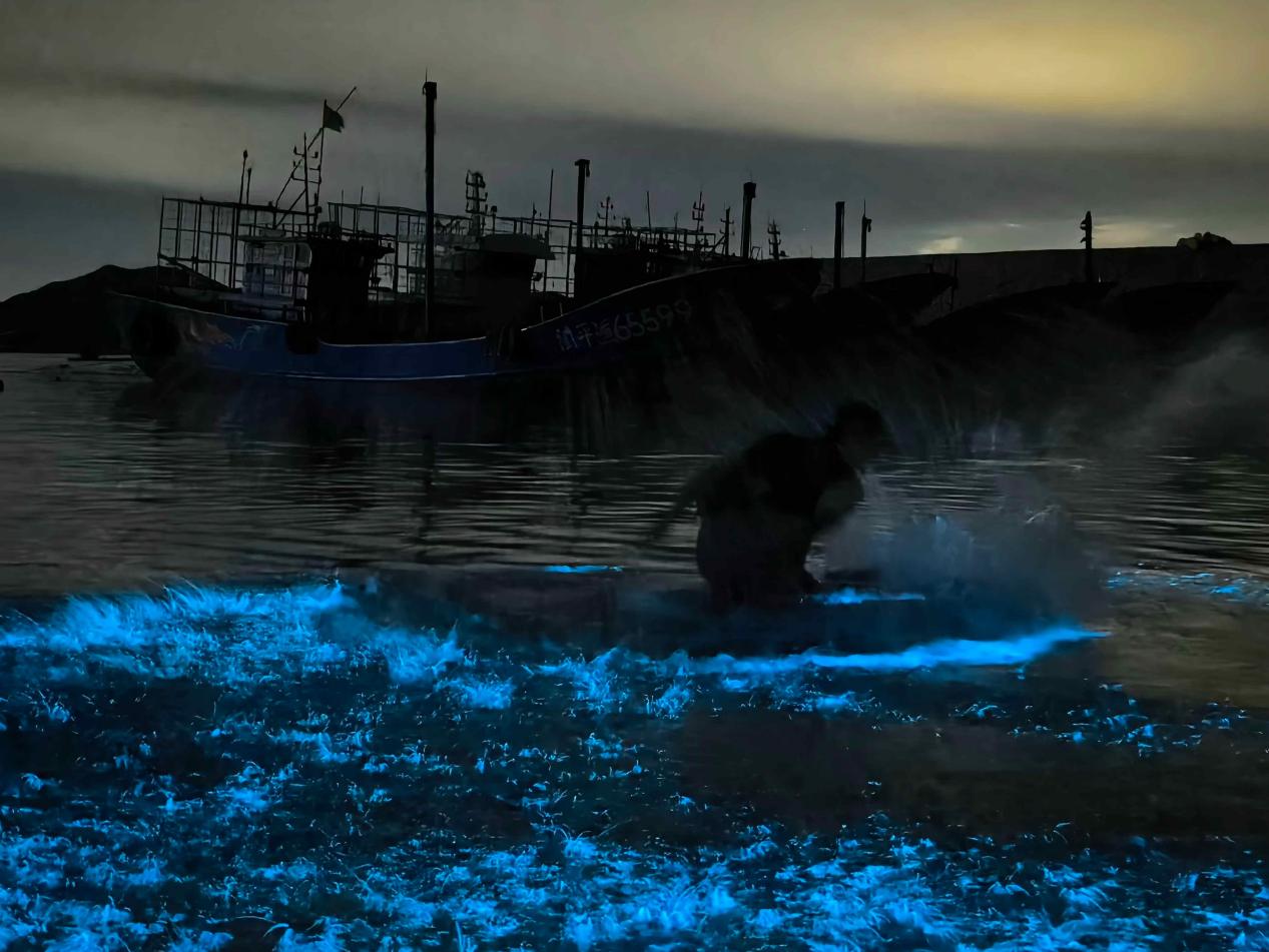 每年的3月至6月,入夜的平潭海边常常翻涌起荧光色的海浪,如星辰入海般唯美,吸引众多市民游客寻“泪”而来。康磊摄