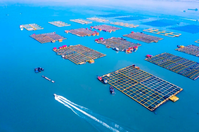 ������������������ý�����Ĺ�ͼ