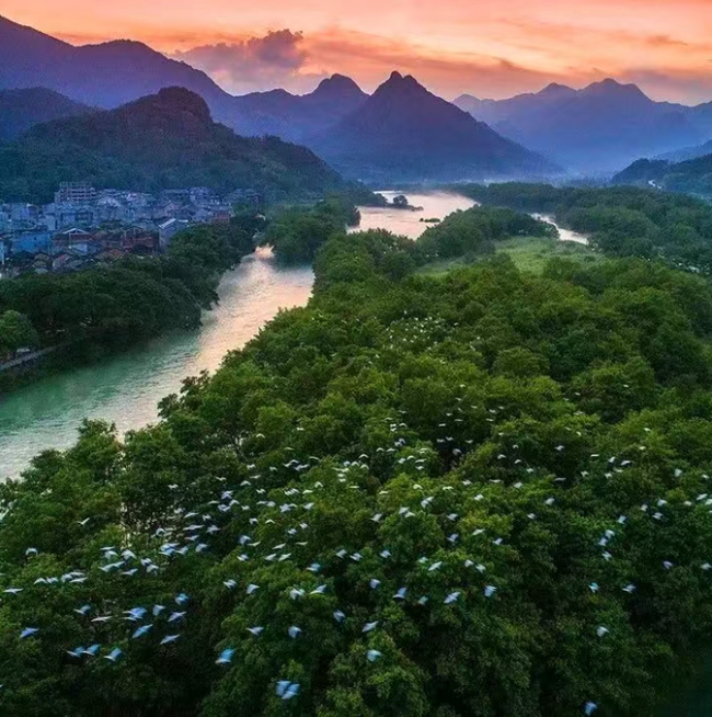 ��ͯϪ����������