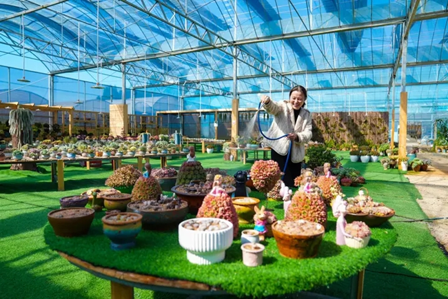 ��������԰�����޹�˾��ֲ�����ڣ����ظ���������Ϊ���⽽ˮ����־����